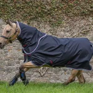 Amigo Bravo 12 Pony, 0 gram med aftagelig hals - GRÅ