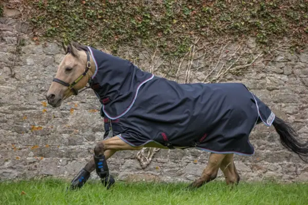 Amigo Bravo 12 Pony, 0 gram med aftagelig hals - GRÅ