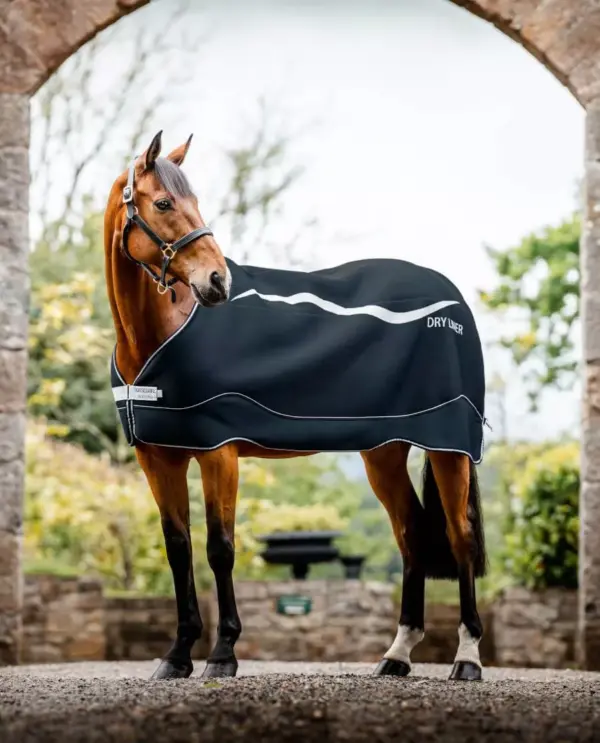 Horseware Dry Liner